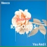 Nesco