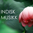 Indisk Musikk Maestro