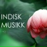 Indisk Musikk Maestro