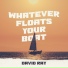 David Ray