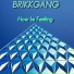 BRIKKGANG, Yung Money, BGE Yung Minor