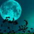Ambient Backgrounds