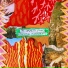 The Spaghetti Stains