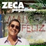 Zeca Pagodinho, Teresa Cristina