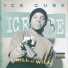 Ice cube
