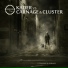 Kader, Carnage & Cluster