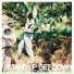 Stand Up Get Down