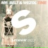 Mr. Belt & Wezol