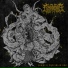 Decomposition Of Entrails