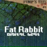 Fat Rabbit