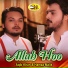 Aqib Khan, Hamza Malik