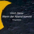Ulrich Steier