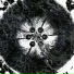 Planetary Cymatic Resonance