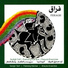 Sedigh Tarif, Pashang Kamkar, Sheyda Ensemble