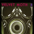 Velvet Moth