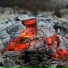 guslinskiy, Еия Вуд, Пустой