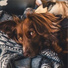 Dog Music, Dog Music Club, Music For Dogs Peace