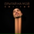 Смуглый