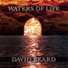 David Beard