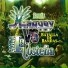 Banda Maguey