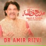 Dr. Amir Rizvi