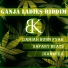Safary Beats