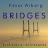 Peter Wiberg