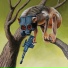 Circa Survive