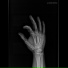 La Mano Destra