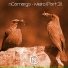 nCamargo