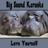 Big Sound Karaoke