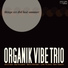 Organik Vibe Trio