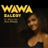 Wawa Salegy feat. Basta Lion