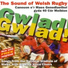 Undeb Rygbi Cymru Welsh Rygbu Union