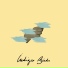 Indigo Birds