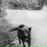 Berio