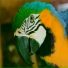 Paulo Soares Vix