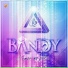 Grupo Bandy2