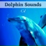 Calm Music Sound