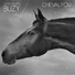 Buzy
