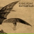 Flying Point