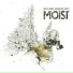 Moist
