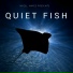 Nigel Hayes, Quiet Fish