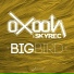Oxoon & Skyrec