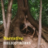 Heliostrobes