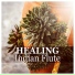 Meditation, Komuso, Reiki, Jesita Reyes