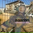Aaaron