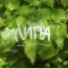 MM prod.Prekrati