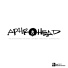 Aphrohead, Marco Bailey