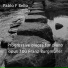 Pablo F Bello